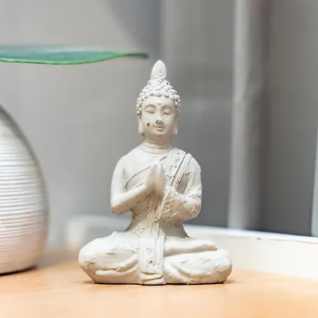 Valenstay - Stade Du Hainaut Avec Jardin Valenciennes