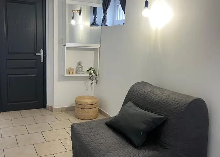 Valenstay - T2 Pro - Stade Du Hainaut Avec Jardin Apartamento *